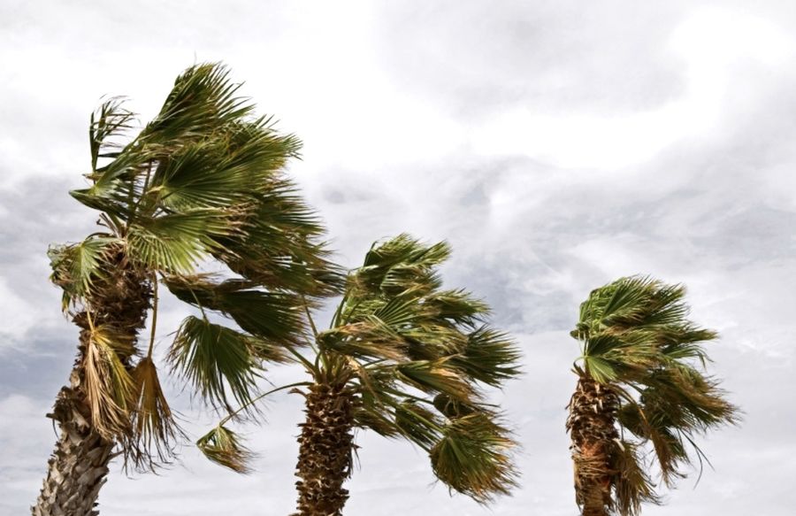 INTENSIFICACIÓN DEL VIENTO, en unos RAFFICAS DÍAS se esperan hasta 70Km / h.  Te lo contamos O »ILMETEO.it